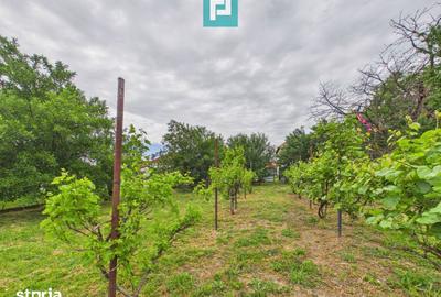 Casă cu 4 camere cu Teren 1368 Mp în Central - 7