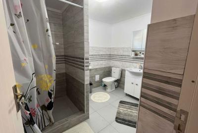 Casă cu 2 camere în Bistrița Nouă - 5