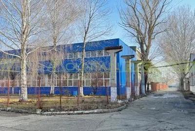Vaslui, hale si birouri de vanzare - 1