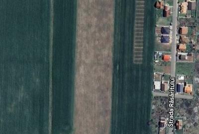 COMISION 0% Teren intravilan pentru case/duplexuri -  610 mp - Sanandrei COMISION 0% Teren intravilan pentru case/duplexuri -  610 mp - Sanandrei - 1