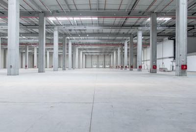 Depozit Hala Autorizata ISU 600 mp -15000 mp Depozit Hala Autorizata ISU 600 mp -15000 mp - 5