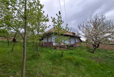 Casă cu 2 camere în Mateieni - 8