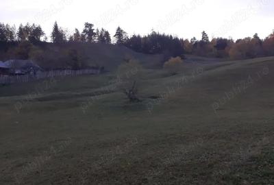 Teren de 13700 mp, în Nereju - 1