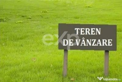 Teren în Sud