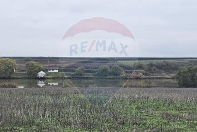 Teren extravilan de 129700 mp, în Iepurești - 9