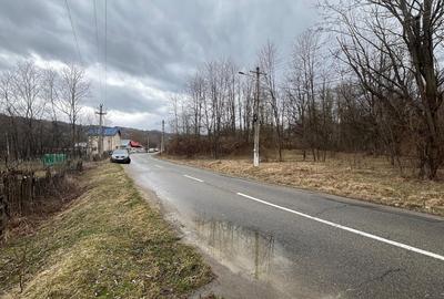 Teren intre case | 3782 mp | Alunis | Slanic Prahova - 3