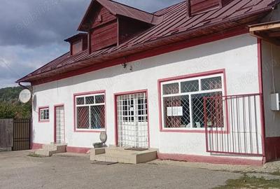 Spa?iu comercial de inchiriat - Voroveni, Davide?ti. - 3