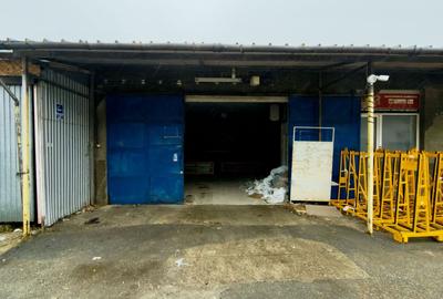 Depozit 600 -700 mp | Rahova | Trafic Greu | Ferentari - 3