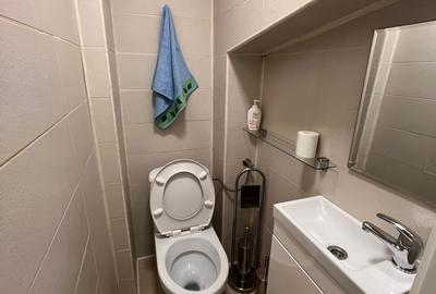 Casă individuală cu 8 camere cu Canalizare în Mogoșoaia - 15