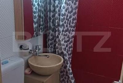 Garsonieră decomandată în Alexandru cel Bun - 6