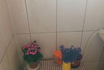 Garsonieră decomandată în Cățelu - 6