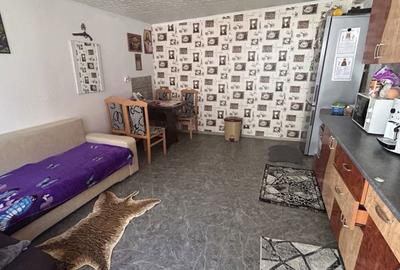 Casă cu 4 camere în Brăilița - 8