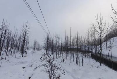 Casă cu 3 camere cu Teren 5000 Mp în Negostina - 1