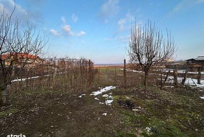 Casă cu 6 camere cu Teren 5700 Mp în Central - 6