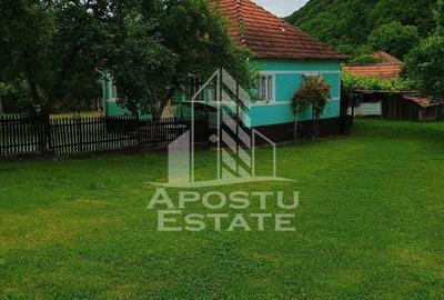 Casa bătrânească de vânzare | 4 camere | Hunedoara | Micănești - 6