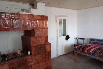 Teren intravilan, 25 ari cu casa veche renovabila - 10