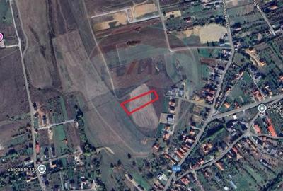 Teren intravilan de vanzare in Salicea, 3000 MP - 1