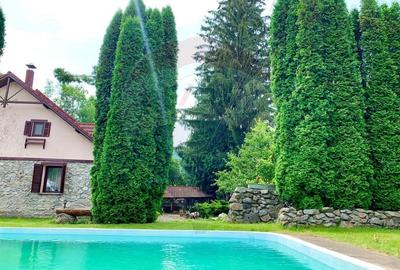 Pensiune cu 13 camere de vanzare in Bulz - 46