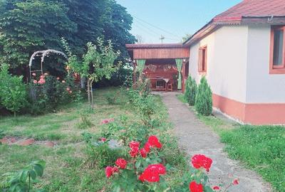 Casă cu 3 camere cu Teren 5740 Mp în Central - 10
