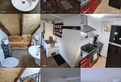 Casa de vacanță la munte - 3