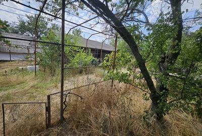 Gospodarie cu 2 case Comuna Trivale Mosteni, sat , la 30 km de Alexandria, jude?ul Teleorman - 7