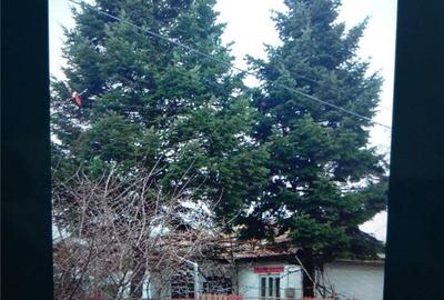 Casă cu 2 camere în Corbii Mari - 8