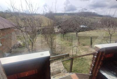 Teren 300 mp + Cabana,zona Livezile,Valea Lunga - 2