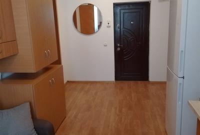 Apartament cu 2 camere decomandat în Turnișor - 3