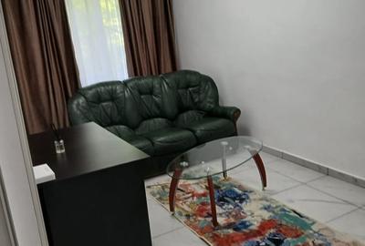 Apartament cu 2 camere semidecomandat în Nicolae Grigorescu - 6
