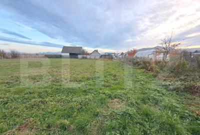 Casa de vanzare, 5 camere, teren generos de 1.290 m2, zona - 4