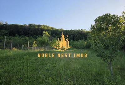 Casa spa?ioasa Mice?ti, Arge?, teren generos 2.500 - 13