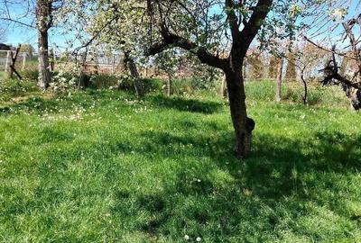 Casă cu Teren 3000 Mp în Central - 2