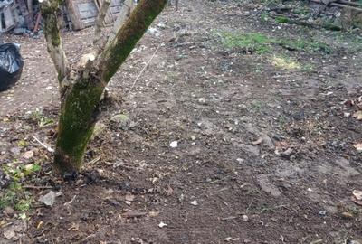 Vând casă cu teren 678mp sat Bărăști, jud Buzău - 3