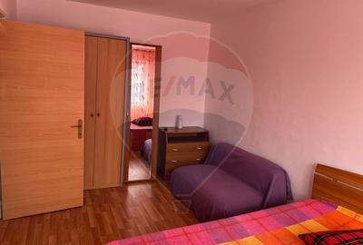 Apartament cu 2 camere de inchiriat in zona Cornisa - Piata Sud - 9