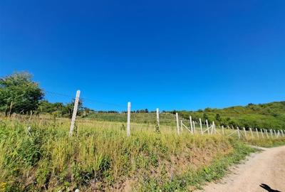 RECO teren intravilan Podgoria