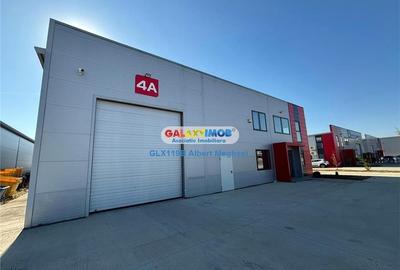 Inchiriere hala depozitare Parc Industrial TBM Rudeni Inchiriere hala depozitare Parc Industrial TBM Rudeni - 17