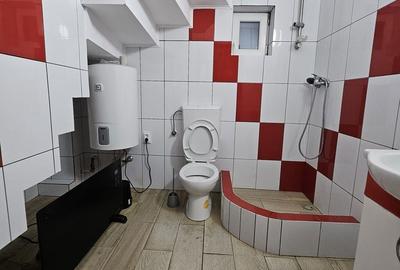 Apartament cu 2 camere decomandat în Orașul Nou - 10
