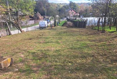 Casa batraneasca - 3