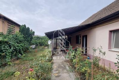 Casă cu 3 camere cu Teren 1800 Mp în Covaci - 12