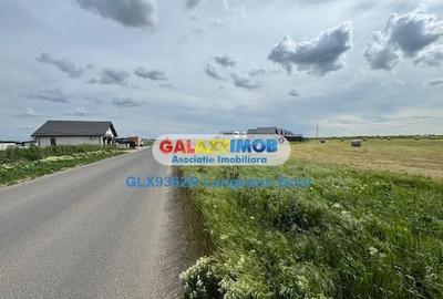 Com Berceni, intravilan 500 mp, Stradal, Curent Electric, Comercial - 10