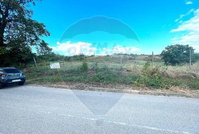 Teren Panciu ( Satul Nou ) Strada Progresului - 1