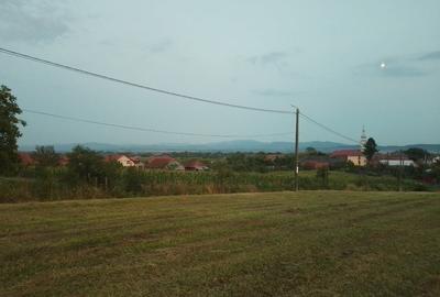 Teren Construcții intravilan de 3687 mp, în Dumbrava - 7