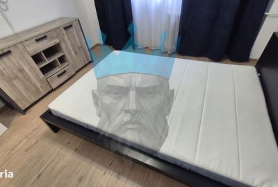 Apartament cu 2 camere, mobilat în Grivița - 9