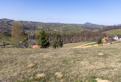 Teren Construcții intravilan de 3791 mp, în Poiana Mărului - 27