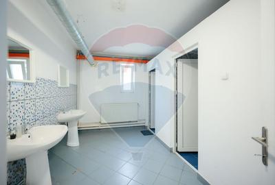Spațiu industrial, de 1,249.0799560547 mp, în Exterior Vest - 23