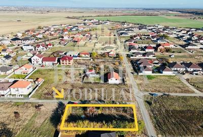 Teren intravilan imprejmuit, vegetatie matura 1200mp Sag Manastire - 1
