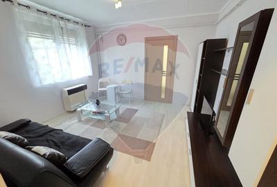 Apartament cu 2 camere semidecomandat, mobilat în Vest - 9