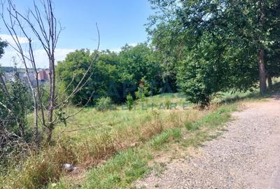 Teren intravilan construibil - 3