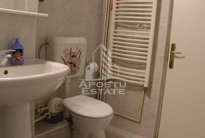 Apartament 3 camere,2 bai, Micalaca Malul Muresului - 19