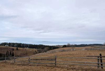Spațiu comercial, în Măguri - 4